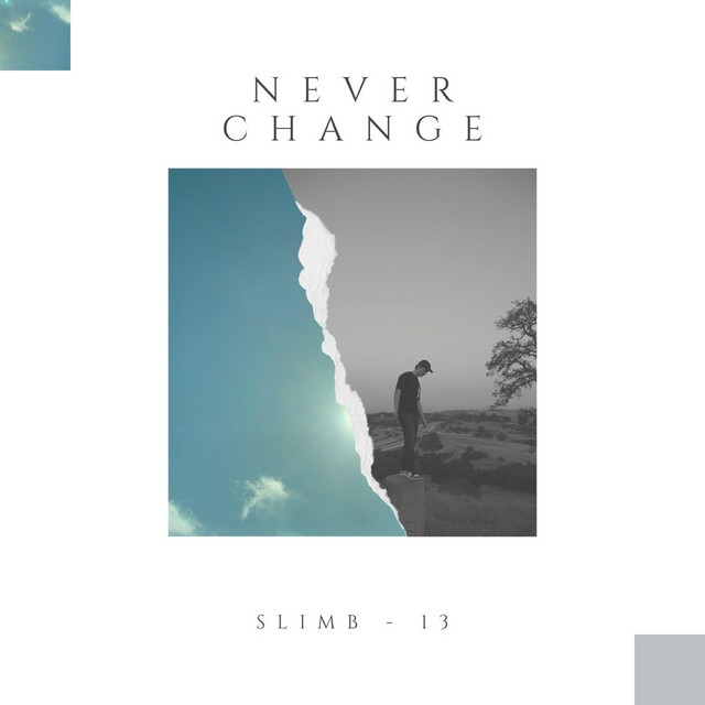 Never Change cover art