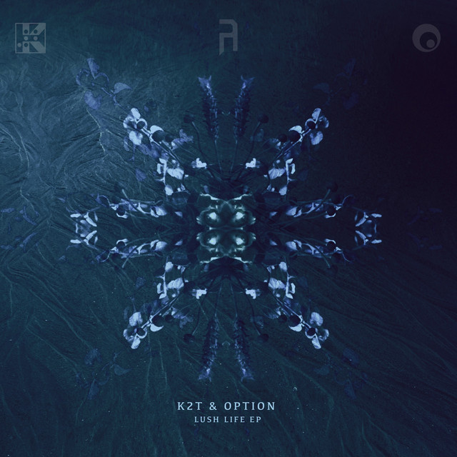 In The Lakes - Option Remix