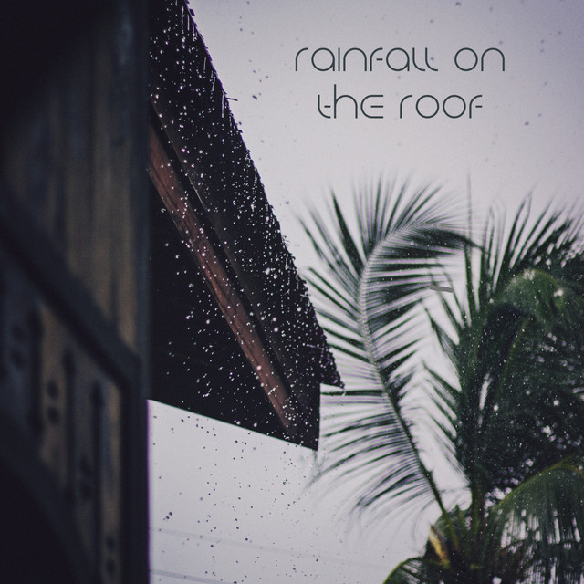 Rainfall On The Roof cover art
