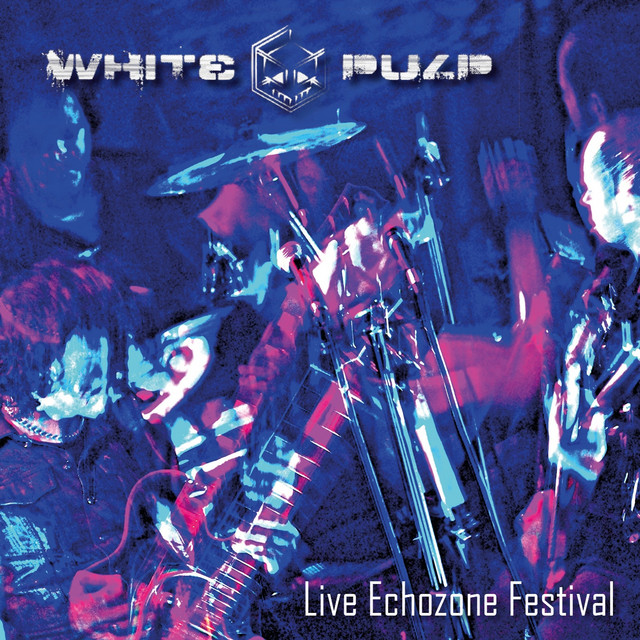 Live (Echozone Festival 2010) cover