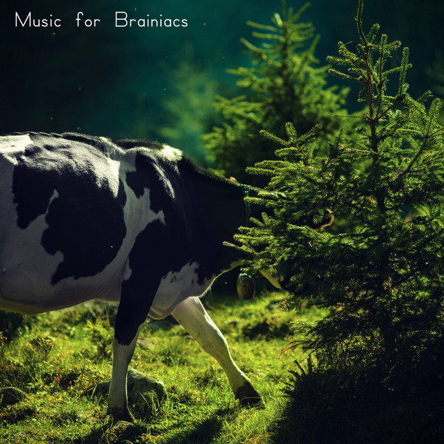 Music for Brainiacs cover art