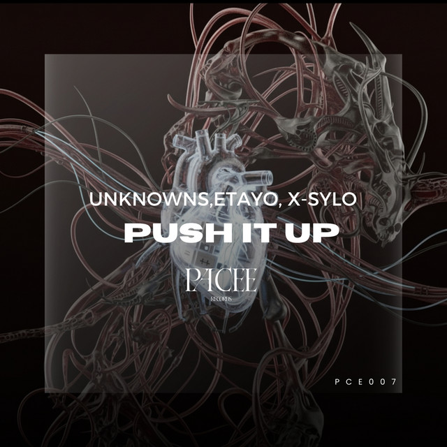 Cover art: Push It Up - Extended Mix — UnknownS