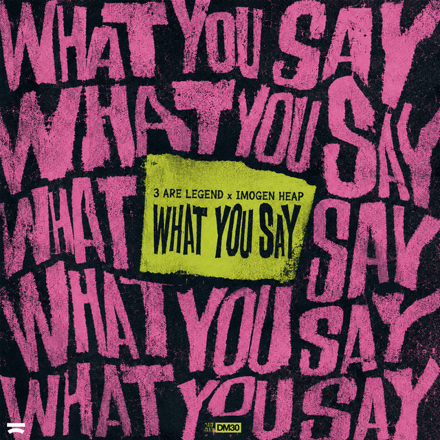 What You Say