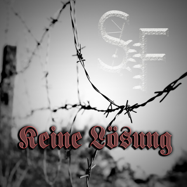 Keine Lösung cover