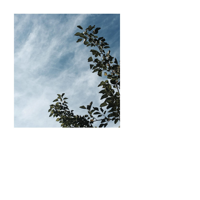 summer2009 cover art