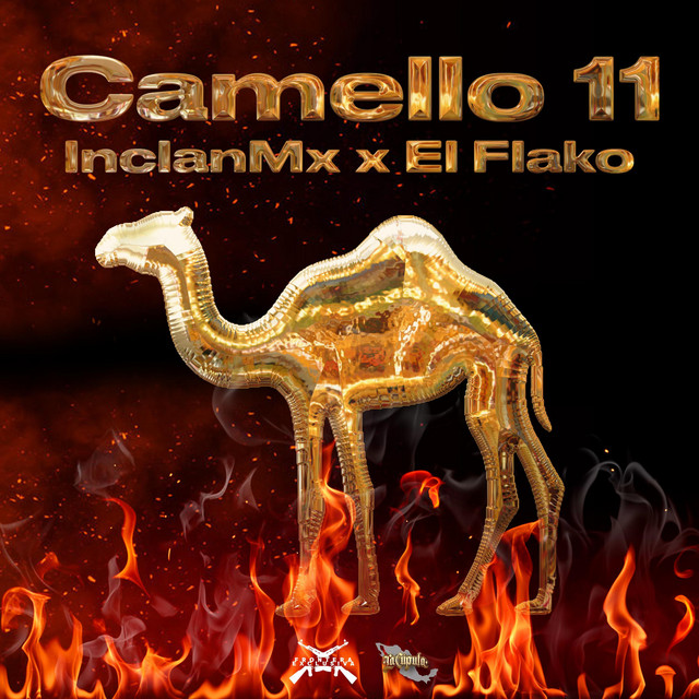 Camello 11 cover art