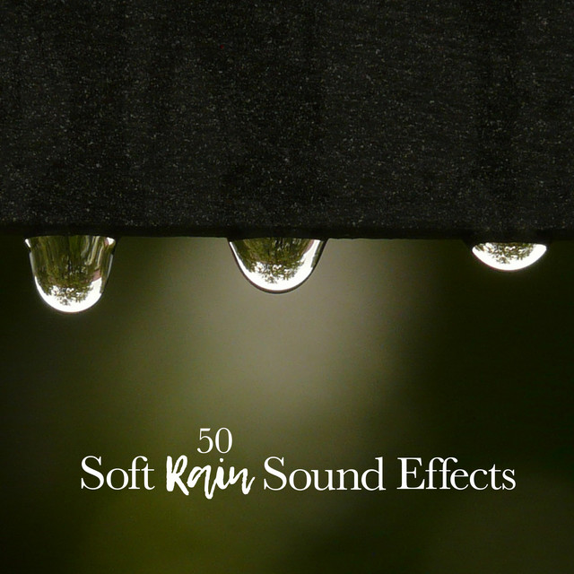 Umbrella Rain - song and lyrics by Pro Sound Effects Library, Dawn ...