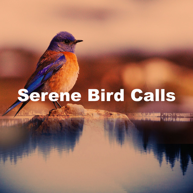 Serene Bird Calls - Album by Sound Dreamer | Spotify