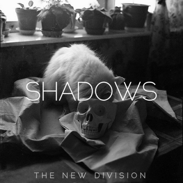 Shadows cover art