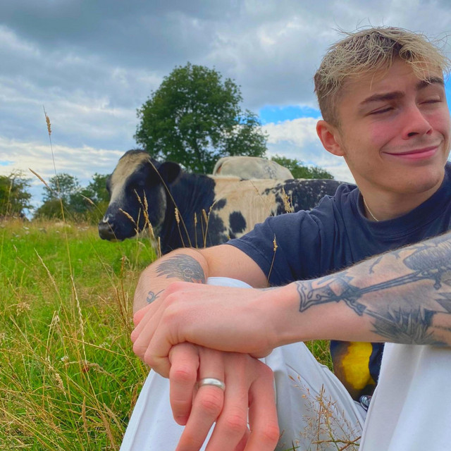 Cow cover art