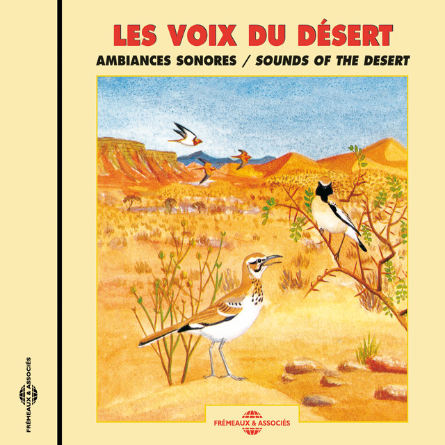 Sounds Of The Desert