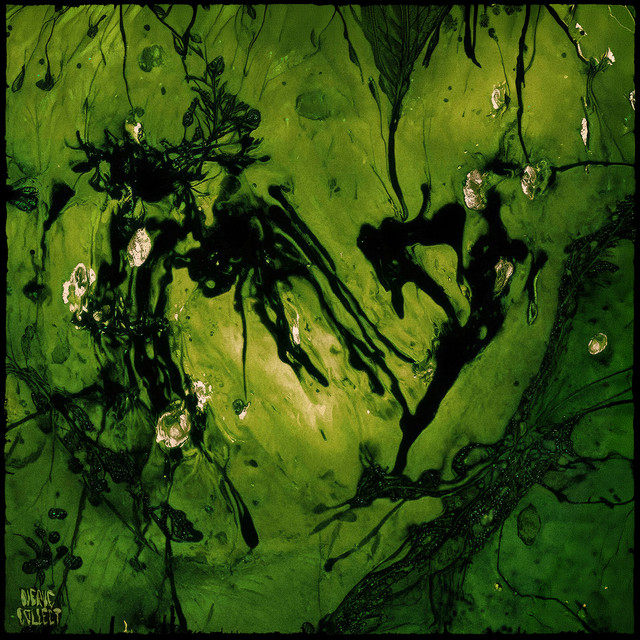 Sleck Dust EP cover