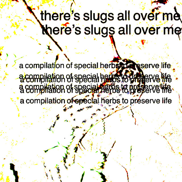 there's slugs all over me cover art
