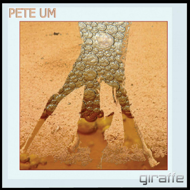Giraffe cover art