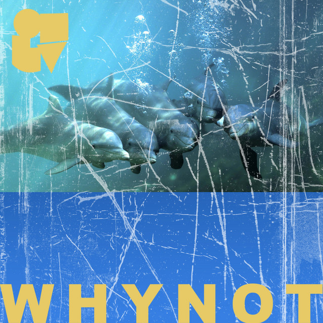 Why Not cover art