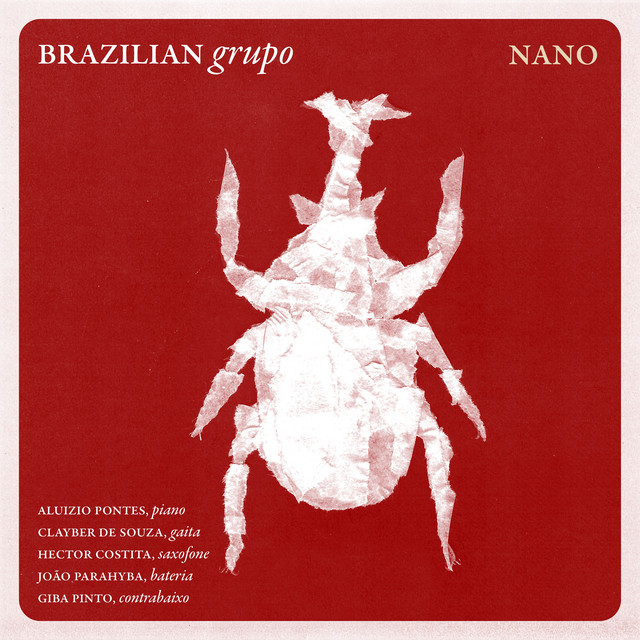 Nano cover