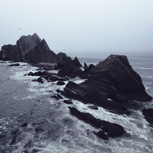Black Sea cover art