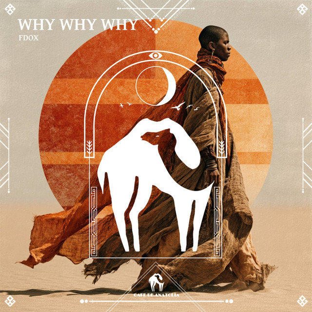 Why Why Why album image