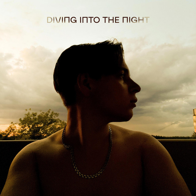 Обкладинка: Diving into the night — DL