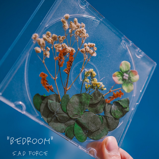 Bedroom cover art
