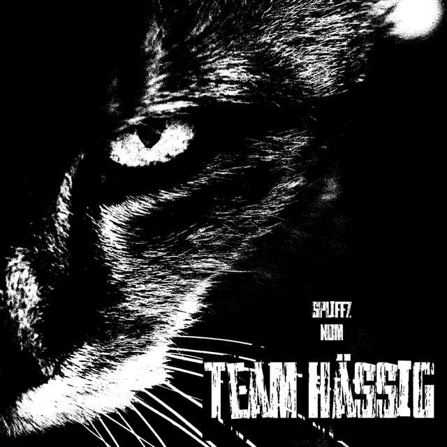 Team Hässig