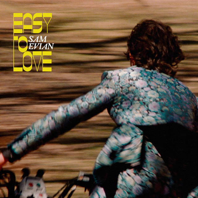 Easy To Love - Single by Sam Evian | Spotify