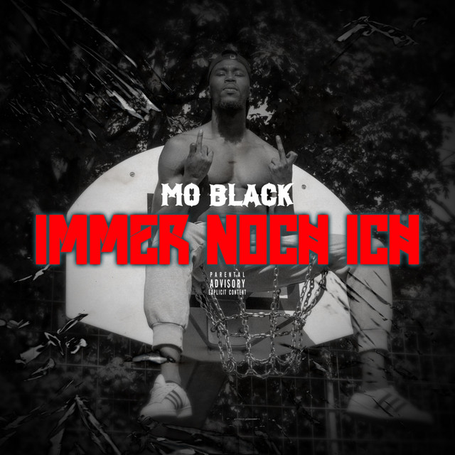 Immer noch ich cover art