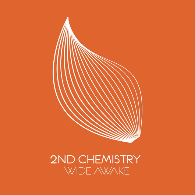 Wide Awake - Extended Mix album art