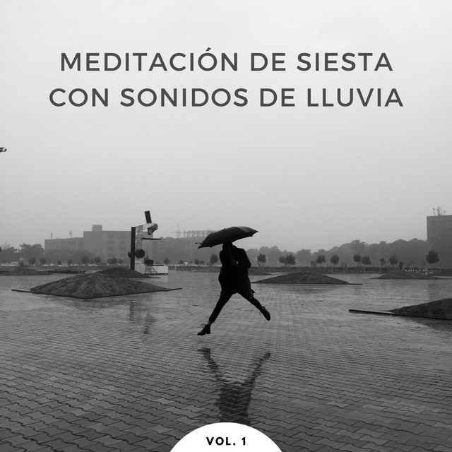 Meditación De Siesta Con Sonidos De Lluvia Vol. 1 - Album by Naturaleza ...