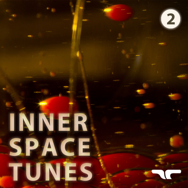 Inner Space Tunes, Vol. 2 - Compilation by Various Artists | Spotify