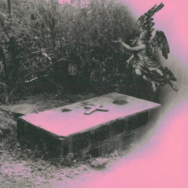 Nail Through Flower cover art