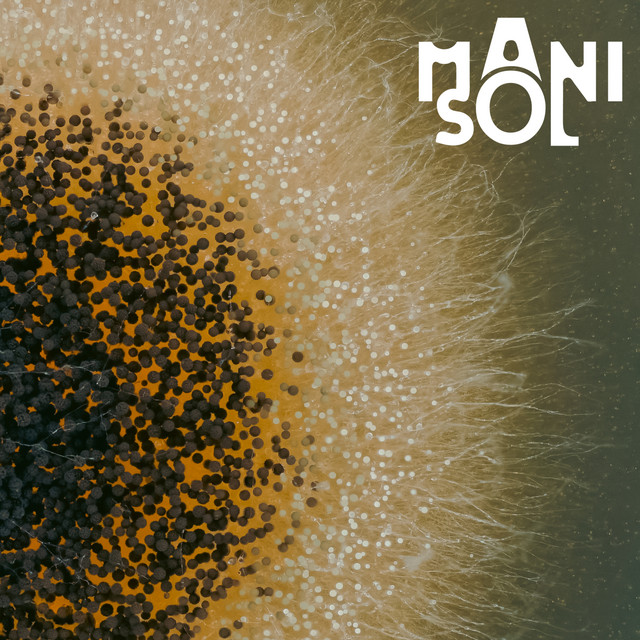 Mani cover art