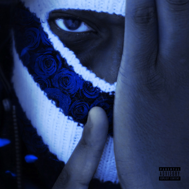 DE ROSÉ ACHTER HET MASKER cover