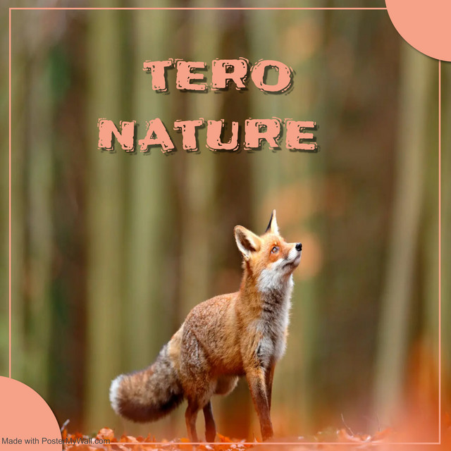 Nature cover art