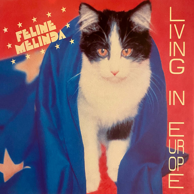 undefined album image