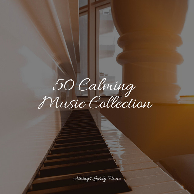 50 Calming Music Collection - Album by Piano Music for Exam Study | Spotify