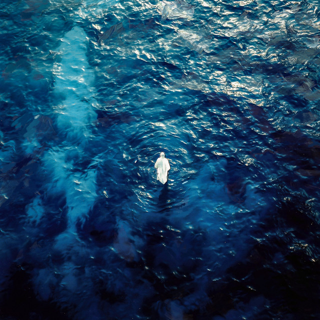 SURF cover art