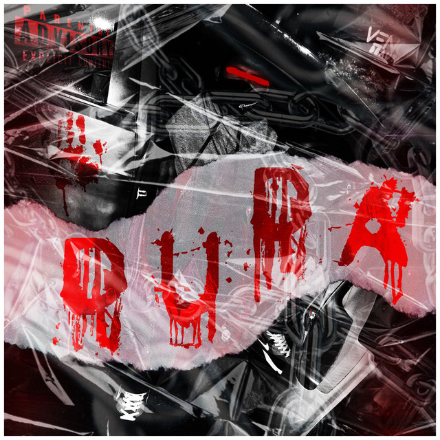 Duda cover art