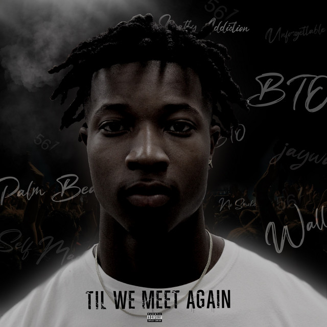 Til We Meet Again cover art