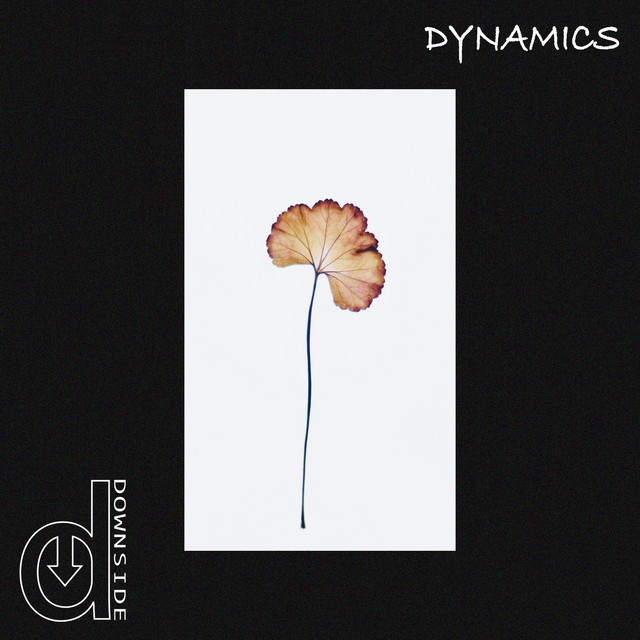 Dynamics cover art