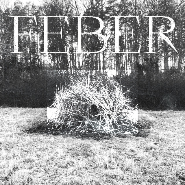 Feber cover art
