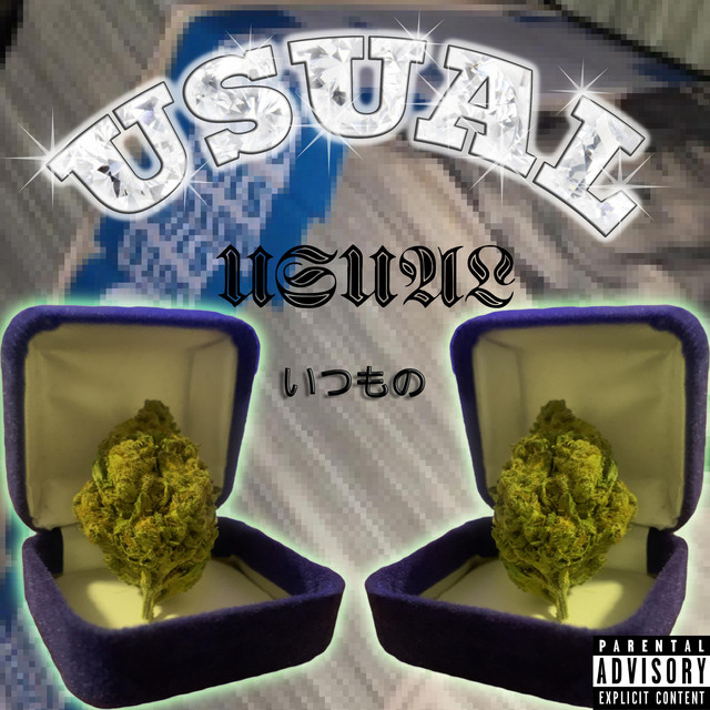 Usual - Single by Sly Mike | Spotify