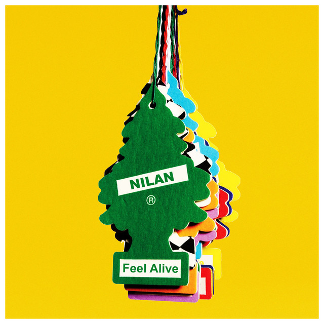 Feel Alive