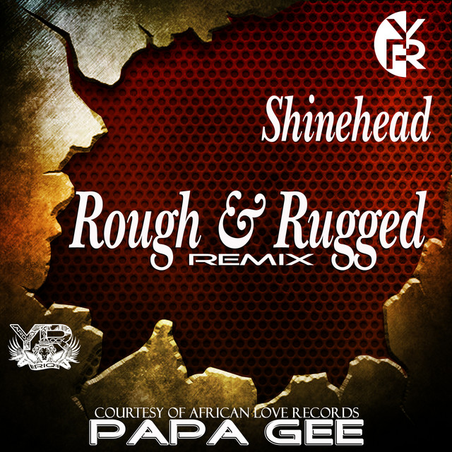Rough & Rugged - Remix artwork