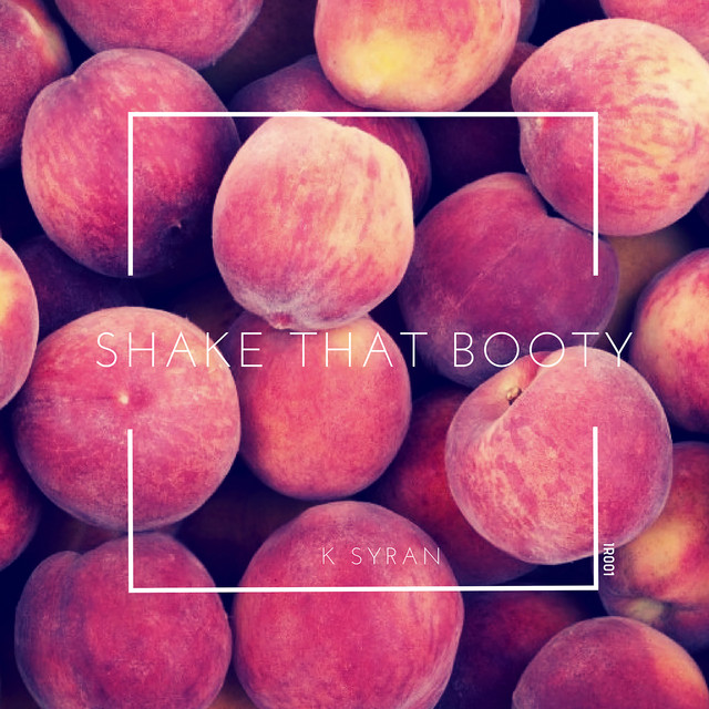 Shake That Booty cover art