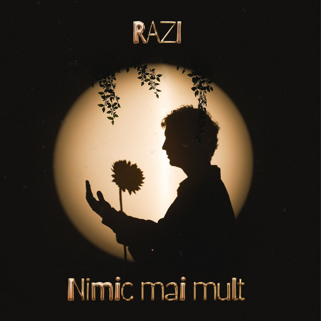 Nimic mai mult