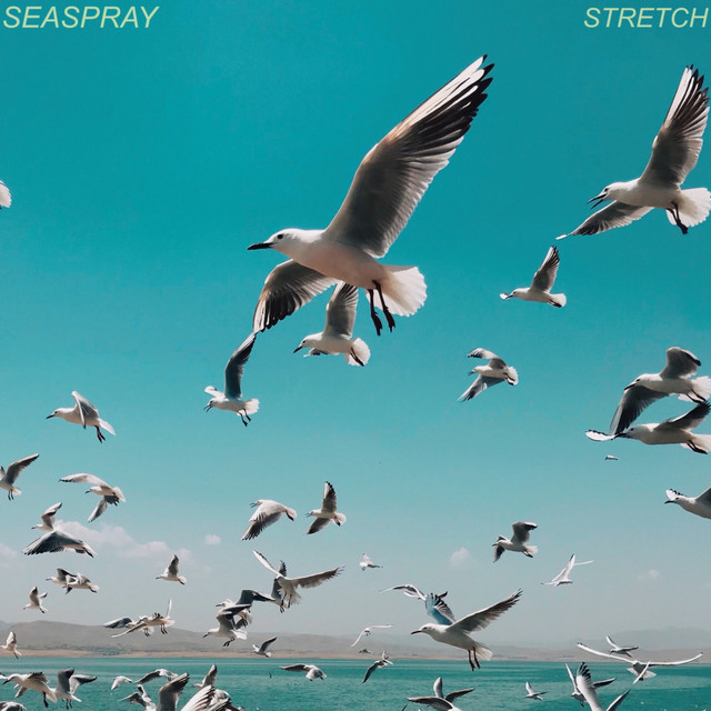 Stretch cover