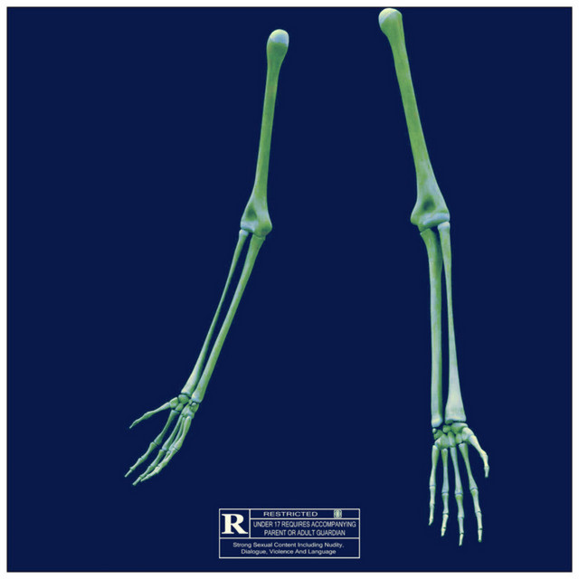 not tied, but bound cover art