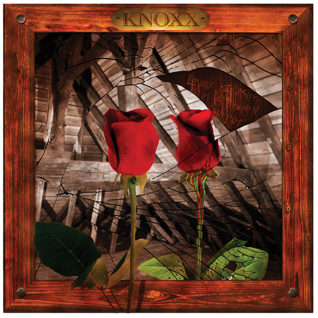 Love's Reflection in a broken mirror cover