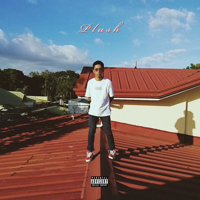 Plush cover art